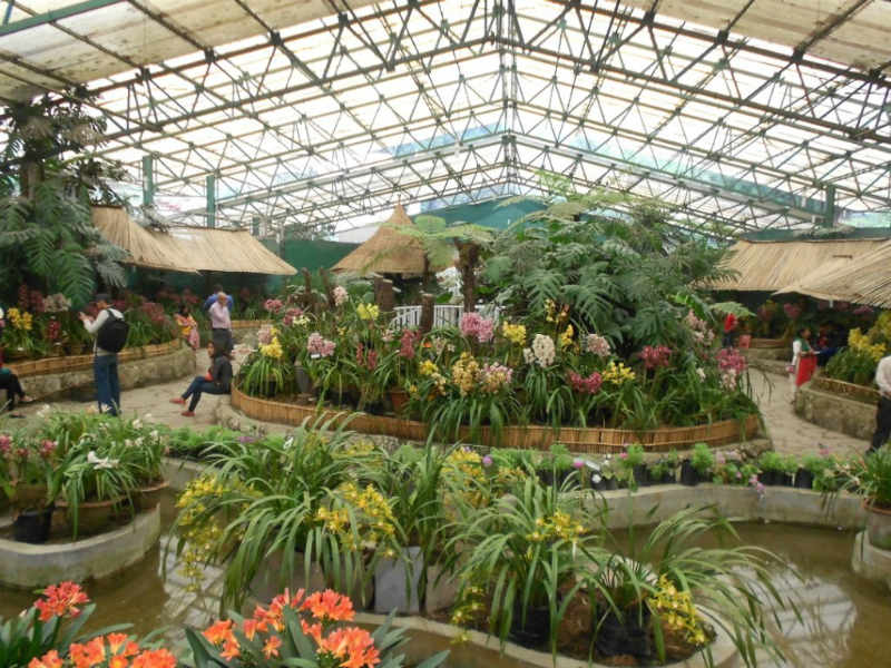 Flower show Center