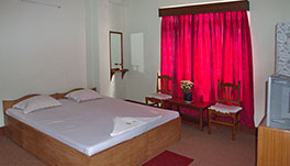Hotel Green Park-Standard-Double-Bed-Room